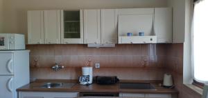 Kuchyň nebo kuchyňský kout v ubytování Apartman M&M Žminj