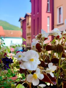 un groupe de fleurs blanches avec des bâtiments en arrière-plan dans l'établissement Hotel Casablanca, à Goražde