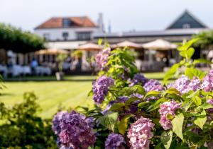 Zahrada ubytování Hotel Bakker