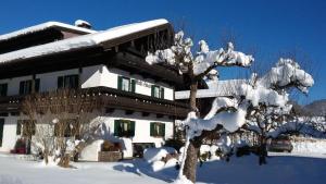 a snow covered house with a tree in front of it at Wastl-Häusl in Reit im Winkl