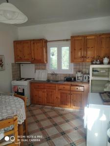 Η κουζίνα ή μικρή κουζίνα στο Villa Nikos