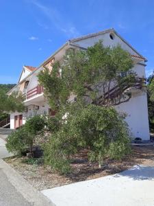 Galeriebild der Unterkunft Apartments Irena in Božava