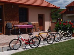 Jazda na bicykli v okolí ubytovania NATURA Vendégházak