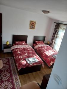 Ảnh trong thư viện ảnh của Agropensiunea GIURCA ở Bădoşi