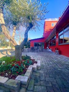 un árbol en una acera frente a un edificio en La casina rossa Affittacamere en La Spezia