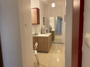 een keuken met een spoelbak en een magnetron bij The Central Post Apartments in Sofia +65 foto's