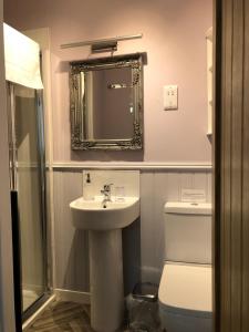 a bathroom with a sink and a toilet and a mirror at Ardmorn Holiday Accommodation in Dunvegan