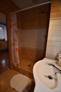 Koupelna v ubytování Apartmány Sněženka