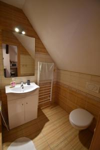 uma casa de banho com um lavatório e um WC em Apartmány Sněženka em Destné v Orlických horách