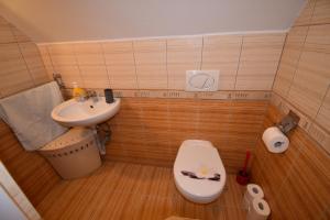 Koupelna v ubytování Apartmány Sněženka