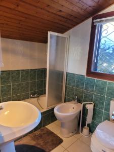 ein Bad mit einem Waschbecken, einem WC und einer Dusche in der Unterkunft Chalet LE TRIOLET in Chamonix-Mont-Blanc