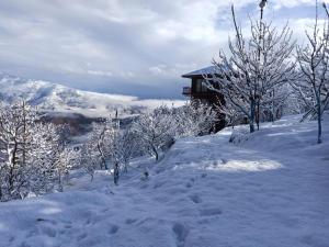 einen schneebedeckten Hügel mit einem Haus im Hintergrund in der Unterkunft Aaramgah in Narkanda