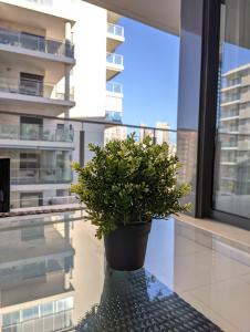 Balkon lub taras w obiekcie SURF apARTs by RB