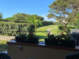 Сад в Pelosa - Capo Falcone Excellent Apartment