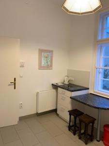 eine Küche mit einer Spüle und einer Arbeitsplatte in der Unterkunft Villa Pazelt Top3 in Bad Vöslau