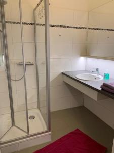 a bathroom with a shower and a sink at Villa Pazelt Top3 in Bad Vöslau