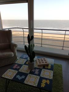 a table with a cactus on it in front of a window at Appartement Borealis in Blankenberge