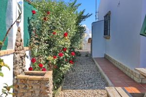 a garden with red flowers on a wall at Chalet Chaparrillo in Conil de la Frontera +17 photos