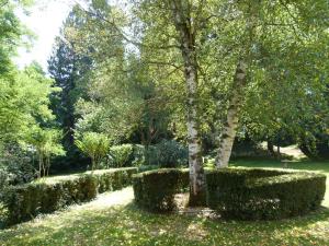 a garden with bushes and a tree in the middle at Cantaranne in Privezac