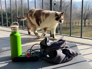 Pet and Breakfast Pet Friendly Country House kisállat-vendégei