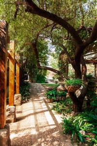 a tree in a garden with a walk way at Town and Country Mpumalanga in Middelburg