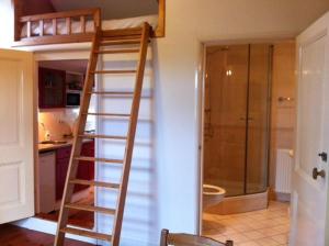 een badkamer met een ladder naar een stapelbed bij B&B Hofstede De Groote Laar in Spankeren