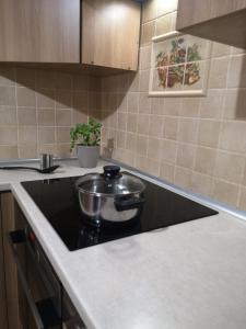 una olla en una estufa en la cocina en Apartament Mariacka, en Nysa
