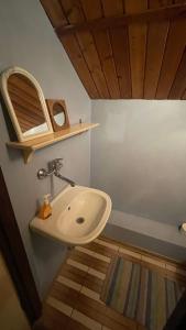 a bathroom with a sink and a shelf on the wall at Domek Myśliwski Las Vegas in Mierzyn +29 photos