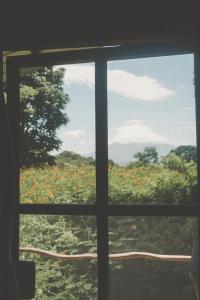 uma vista de um campo de flores através de uma janela em La Bambouseraie em Balgue