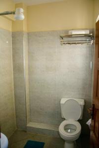 a bathroom with a toilet and a shower at Turbine Ngong Hotel in Ngong