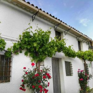 un edificio bianco con dei fiori sul lato di Casa Rural El Cortijo Nuevo, en El Cerezo a El Cerezo