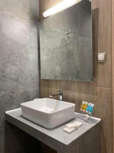 Foto dalla galleria di 11 Luxury Apartments a Metsovo