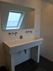 een badkamer met een wastafel en een raam erboven bij Bed & Koffie, Op de Spinbaan in Den Burg