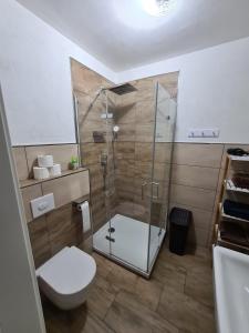 uma casa de banho com um chuveiro e um WC. em Ferienwohnung in der Marktstraße em Mayen