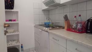 uma cozinha com um lavatório e uma bancada em FeWo Steibis Lodge, Oberstaufen/Steibis em Oberstaufen