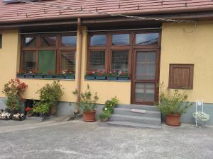 Exteriér alebo vchod do ubytovania Vogel Ági Vendégháza