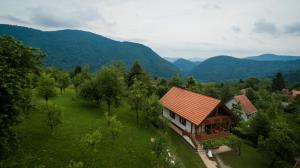 a house in a field with mountains in the background at Holiday home Tihovo in Delnice