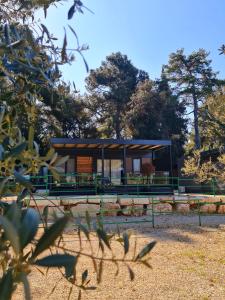 a building in a park with trees in the background at LUXURY MOBILE HOMES IVACI in Rovinj