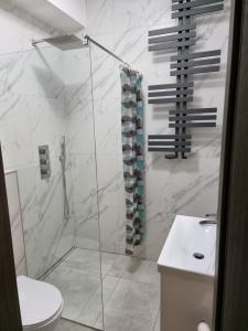 ein Bad mit einer Dusche, einem WC und einem Waschbecken in der Unterkunft Noclegi 24/h Leszczynek in Kutno