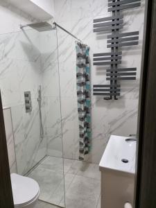 a bathroom with a shower with a toilet and a sink at Noclegi 24/h Leszczynek in Kutno