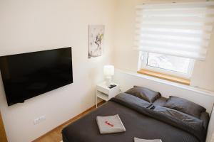 TV a/nebo společenská místnost v ubytování Lusso Apartman