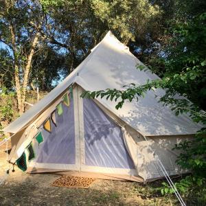 卡塔馬的住宿－法哈拉莊園露營地，坐在草地上的帐篷