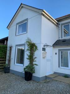 a white house with a plant in front of it at Little Karenza is the perfect Cornish getaway in Saint Anthony