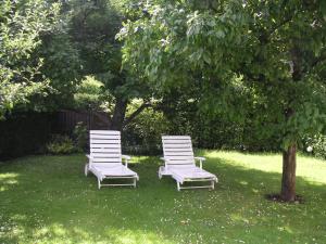 twee stoelen in het gras onder een boom bij Ferienwohnung Sobotta in Bad Reichenhall +10 foto's