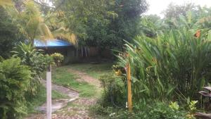 a garden with a house and some plants at Hermosa casa vacacional in Suárez