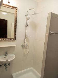 a bathroom with a shower and a sink and a mirror at Edelmann Panzió in Balatonakali +58 photos