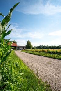 Fotografie z fotogalerie ubytování Ferienwohnung Bichler v destinaci Altötting + 15 fotografií