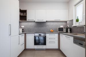 Kuchyň nebo kuchyňský kout v ubytování Apartmány ZaBukem