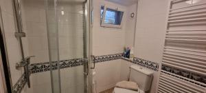 a bathroom with a toilet and a shower at LE PATIO / les suites romantiques du grenier à sel in Honfleur