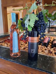 two bottles of wine and grapes on a counter at Il Vigneto Rooms & Breakfast - Valtellina Panoramic View in Castione Andevenno
